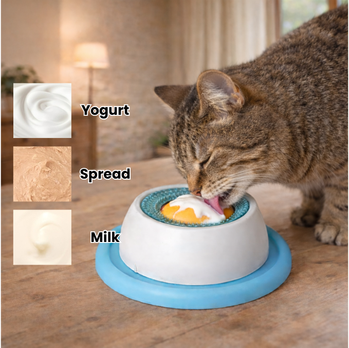 Pet Feeder